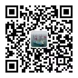 1636298108453001043.jpg 丢.jpg