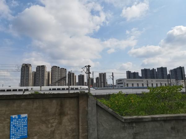 1660791048326098518.jpg 5.jpg