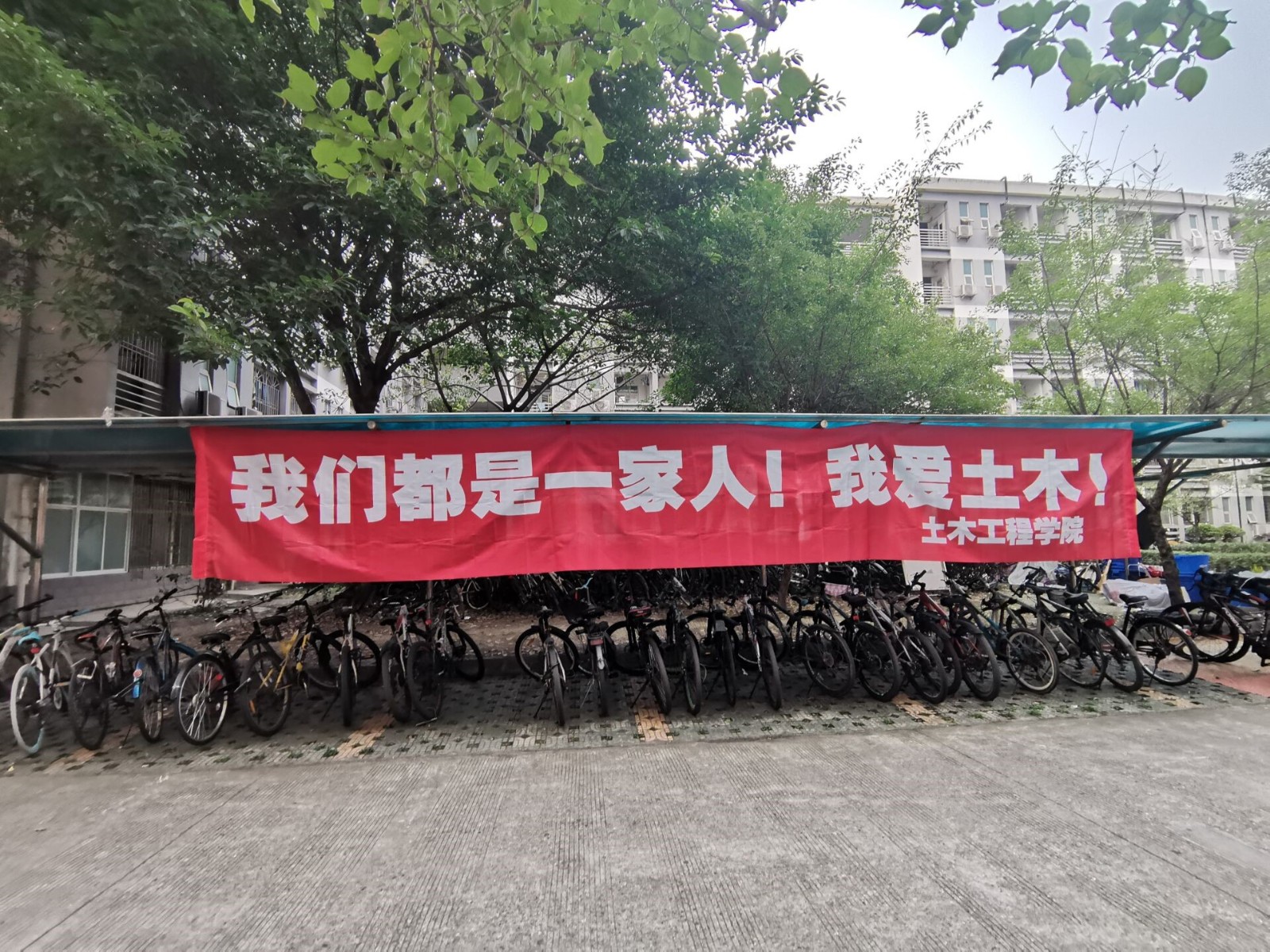 1626794144850053846.jpg 4.jpg