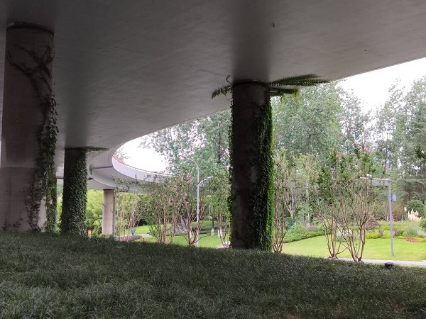 1660833196582007648.jpg 图二.jpg